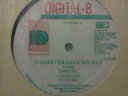 【中古】米12” Sanchez / Red Dragon Wherever I Lay My Hat / How You Fi Do That VPRD520...