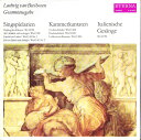【中古】独LP Ludwig van Beethoven Singspielarien / Kammerkantaten / Italienische Gesa...