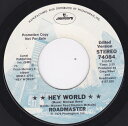 【中古】米7” Roadmaster Hey World 74084 Mercury /00080