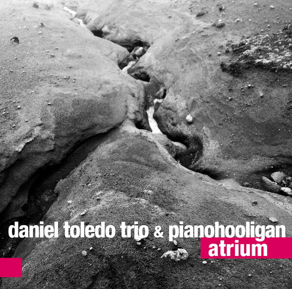 波CD Daniel Toledo Trio &amp; Pianohool Atrium 0121077 For Tune 未開封 /00110