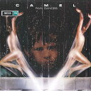 【新品】欧LP Camel Rain Dances 7782872 Decca /00260