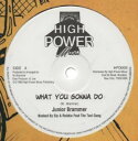 【新品】英12” Junior Brammer / General Lee What You Gonna Do / Slam Bam HPD009 High Power /00250