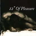 【中古】英CD Various 12” of Pleasure ALMYCD10 Almighty Records /00110