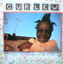 【中古】米CD Curlew Live in Berlin RUNE12CD Cuneiform Records /00110