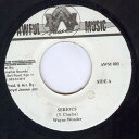 【中古】ジャマイカ7” Wayne Wonder / Admiral Bailey Serious / Jump AWM003 Awful Music /000...