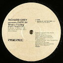 【中古】伊12” Richard Grey, Gate 54 What A Feeling (Make It Happen Mix) RISE290 Rise /00250