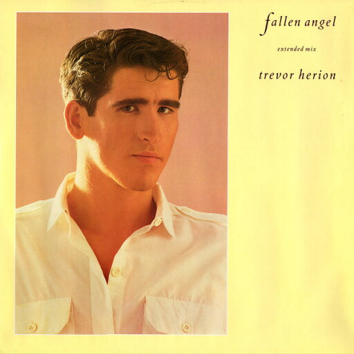 【中古】英12” Trevor Herion Fallen Angel 12IN5 Interdisc /00250 【中古】英12” Trevor Herion Fallen Angel 12IN5 Interdisc /00250