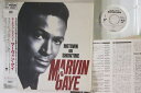 【中古】LASERDISC Marvin Gaye Motown On Showtime 78LS82011 MOTOWN VIDEO /00600