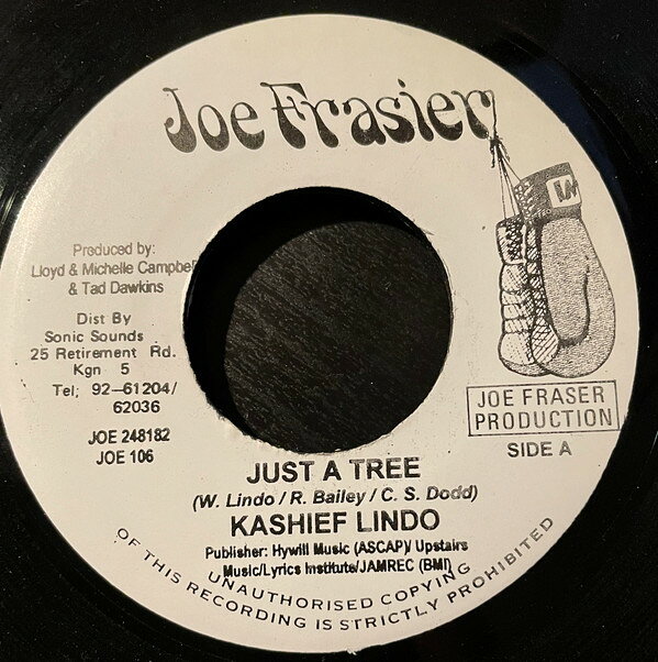 ジャマイカ7” Kashief Lindo Just A Tree JOE248182 Joe Frasier /00080