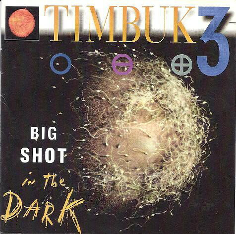 【中古】米CD Timbuk 3 Big Shot in the Dark X213094 I.R.S. Records /00110