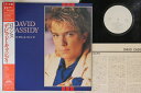 【中古】LP David Cassidy Romance 25RS252PROMO ARISTA プロモ /00260