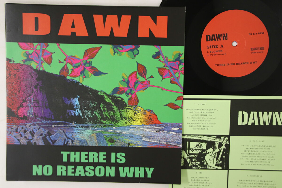【中古】10” Dawn There Is No Reason Why DEBAUCH012 DEBAUCH MOOD /00200