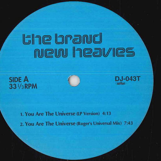 【中古】12” Brand New Heavies You Are The Universe DJ043T NOT ON LABEL プロモ /00250 【中古】12” Brand New Heavies You Are The Universe DJ043T NOT ON LABEL プロモ /00250