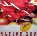 【中古】LP Native Son Shining VIJ28016PROMO JVC プロモ /00260