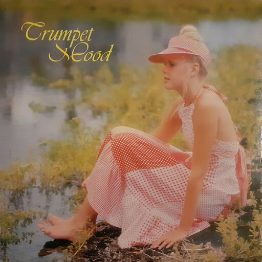 【中古】LP New Sun Pops Orchestra Trumpet Mood SKS105 SUN /00260 【中古】LP New Sun Pops Orchestra Trumpet Mood SKS105 SUN /00260