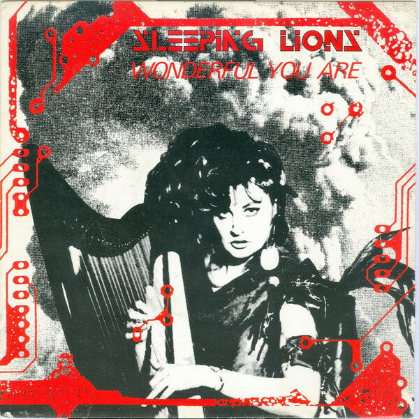 【中古】7” Sleeping Lions Wonderful You Are A2815 /00080