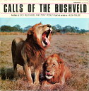 【中古】南アフリカLP Dick Reucassel & Tony Pooley Calls Of The Bushveld SWL4 WLS /00260