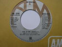【中古】加7” 38 Special Hold On Loosely AM2316 A&M Records /00080