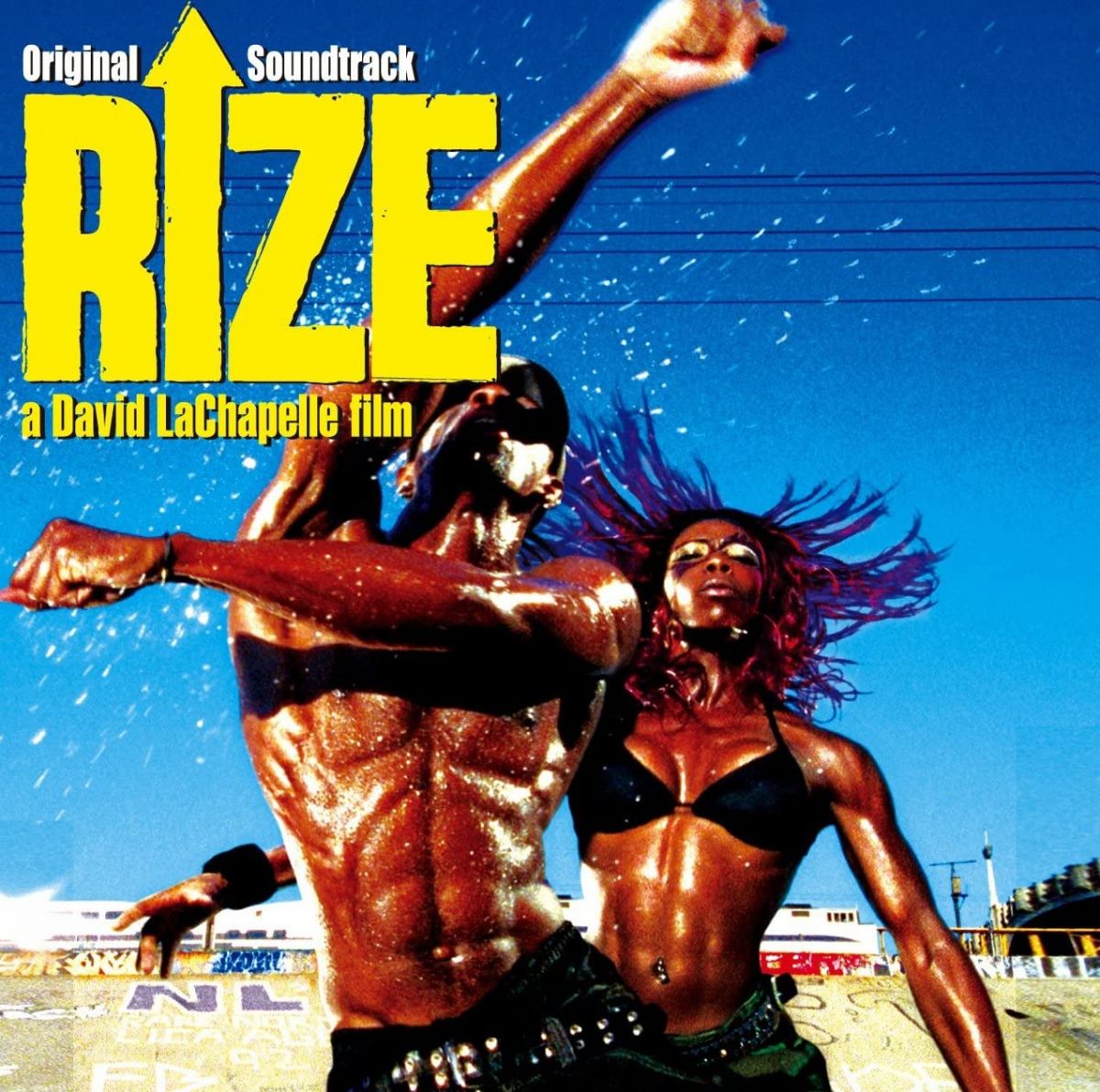 2discs CD サントラ, フリー・スタイルズ, RIZE オリジナル・サウンド・トラック+DVD(DVD付) AVCF22559 エイベックス・ピクチ /00220
