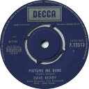 【中古】英7” Dave Berry Picture Me Gone / Ann F12513 Decca /00080