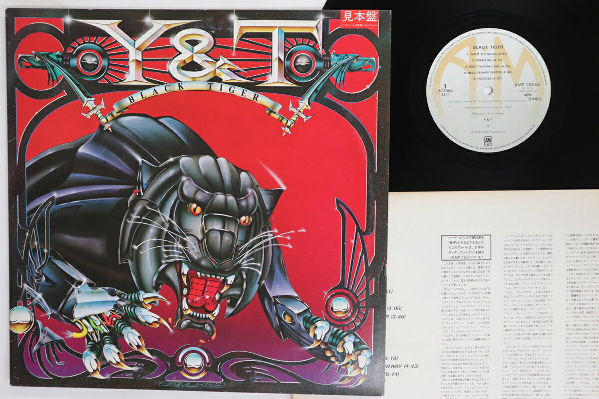 【中古】LP Y & T Black Tiger AMP28055PRO