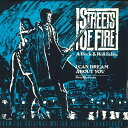 【中古】米7” Dan Hartman / The Blasters I Can Dream About You MCA52378 MCA /00080