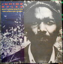 【中古】英LP Junior Byles Beat Down Babylon ”The Upsetter Years” TRLS253 Trojan Recor...