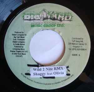 ����š�7�� Shaggy, Olivia Wild 2 Nite (Remix) NONE Big Yard Music Group /00080