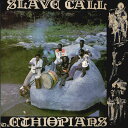 【中古】英LP Ethiopians Slave Call TWS15 Third World /00260