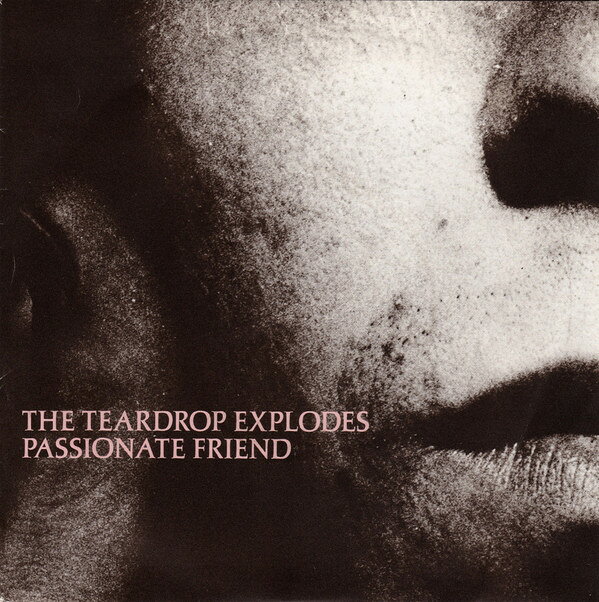 7” Teardrop Explodes Passionate Friend TEAR5 Mercury /00080