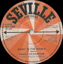 【中古】英7” Dooley Silverspoon What In The World SEV1023 Seville Records /00080