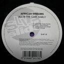 【中古】英12” African Dream All In The Same Family SLIP16 Slip n Slide /00250
