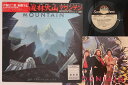 【中古】LP Mountain Brothers Go For Your Life C25Y0123PROMO SCOTTI BROS Japan Vinyl ...