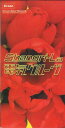 【中古】CD 電気グルーヴ Shangri-La KSD21141 Ki/oon /00110