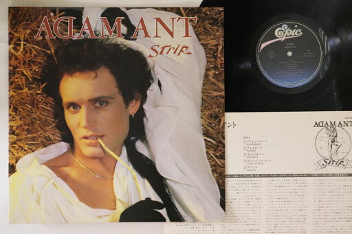 【中古】LP Adam Ant Strip 253P483 EPIC /00260 【中古】LP Adam Ant Strip 253P483 EPIC /00260