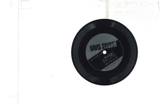 【中古】7” David Sylvian 月刊ビバ・ロック 昭和59年7月1日号付録 Interview NONE VIVA ROCK プロモ /00080 【中古】7” David Sylvian 月刊ビバ・ロック 昭和59年7月1日号付録 Interview NONE VIVA ROCK プロモ /00080