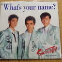 【中古】7” 少年隊 Whats Your Name? GIFT1001 Warner Bros. Records /00080