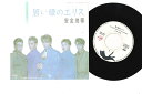 【中古】7” Anzen Chitai Aoi Hitomi no Elis 7DS0110 KITTY Japan Vinyl /00080