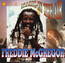 【中古】英LP Freddie McGregor Magic In The Air BSLP5 Big Ship /00260