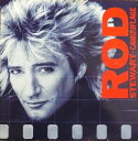 【中古】アイルランドLP Rod Stewart Camouflage 12095 Warner Bros. Records /00260(2)