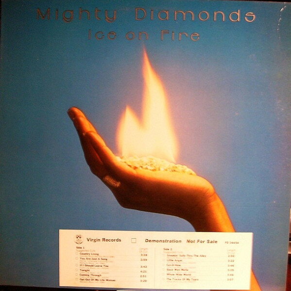 ・アーティスト Mighty Diamonds ・タイトル Ice On Fire ・レーベル・型番 Virgin PZ34454PROMO ・フォーマット LPレコード ・コンディション(盤) 良い (VG+) ・コンディション(ジャケット) 可 (VG) ・コンディション(帯) オビなし ・特記事項 【プロモ印刷レーベル】【カバーにキズ/ダメージ】【カバーにシール付着】 サンプル画像です。実際の商品の画像ではありません 商品写真はバーコード/カタログ番号に対応したサンプル画像ですので、お送りする商品の画像ではありません。帯やライナーなどの付属品は、特記事項に記載されている場合のみ含まれます。プロモやカラーレコードなどの仕様についても、該当する場合のみ特記事項に記載しています。 【ご購入前に必ずご確認ください】 ・本店サイト(www.recordcity.jp)とは価格、送料が違います ・本店サイト、その他支店のオーダーとは同梱発送できません ・注文確定後に別の注文を頂いた場合、注文同士の同梱は致しかねます。 ・別倉庫から発送しているため、店頭受け渡しは対応しておりません ・一部商品は他の通販サイトでも販売しているため、ご注文のタイミングによっては商品のご用意ができない場合がございます。 ・土日祝日はお休みです 金曜・祝前日9時以降のご連絡またはご入金は、返答または発送が週明け・祝日明けに順次対応となります。 ・ご購入後のキャンセル不可 ご購入後のキャンセルはいかなる理由においてもお受けできません。ご了承の上、ご購入くださいませ。 ・日本郵便(ゆうパック/ゆうメール)によるお届けになります。 ・中古品であることをご理解ください 当ストアでは中古商品を主に販売しております。中古品であることをご理解の上ご購入ください。また、一部商品はRecordCityオンラインストアで試聴可能です。 ・返品について お客様のご都合による返品は一切承っておりません。 表記の内容と実際の商品に相違がある場合、また針飛び等で返品・返金をご希望される場合は、商品の到着後1週間以内にご連絡ください。商品の返送をこちらで確認後、キャンセル・返金を行います。 コンディションVG以下の商品は返品できません。プレイに影響のない表面のこすれ傷、プレス起因のノイズ盤は返品の対象外です。 【コンディション表記】 ・ほぼ新品(M-)(Like New) 完全な新品。未使用。当店ではほぼ使用しません ・非常に良い(EX)(Excellent) 中古盤として美品な状態。わずかな経年を感じるものの傷みを感じさせない、当店基準で最高の状態 ・良い(VG+)(Very Good Plus) 丁寧に扱われた中古品で、軽い使用感がみられる。 ・可(VG)(Acceptable) 使い込まれた中古品で、「良い」よりもさらに使用感がみられる。 ・悪い(VG-)(Bad) 状態が悪いアイテム。使用の保障はなく、再生不可、針飛び、目立つノイズがあるかもしれない。状態によるクレーム不可。返品不可。 ・非常に悪い(G)(Very Bad) 「悪い」よりさらに状態が悪いアイテム。使用の保障はなく、再生不可、針飛び、目立つノイズがあるかもしれない。状態によるクレーム不可。返品不可。 ・ジャンク(Fair)(Junk/Fair) 割れている、反っている、水ダメージがある、カビ、ジャケットが分離している、ひどい書き込み、ひどい擦れなど最低の状態。使用の保障はなく、再生不可、針飛び、目立つノイズがあるかもしれない。状態によるクレーム不可。返品不可。 ・ジャンク(Poor)(Junk/Poor) 割れている、反っている、水ダメージがある、カビ、ジャケットが分離している、ひどい書き込み、ひどい擦れなど最低の状態。使用の保障はなく、再生不可、針飛び、目立つノイズがあるかもしれない。状態によるクレーム不可。返品不可。