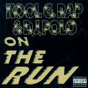 【中古】米12” Kool G Rap & D.J. Polo...(2)