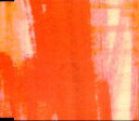 【中古】CD ズボンズ; Don Hot Love(edit) TOCT4160 Virgin /00110