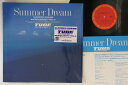 【中古】12” TUBE Summer Dream (Special Remixed 12AH2205 CBS SONY Japan Vinyl /00250