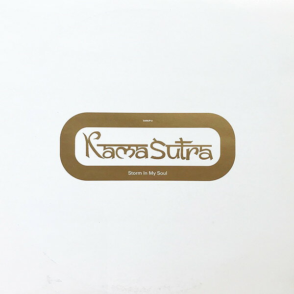 Other - 【中古】12” Kamasutra Storm In My Soul DANUP12 S3 /00250
