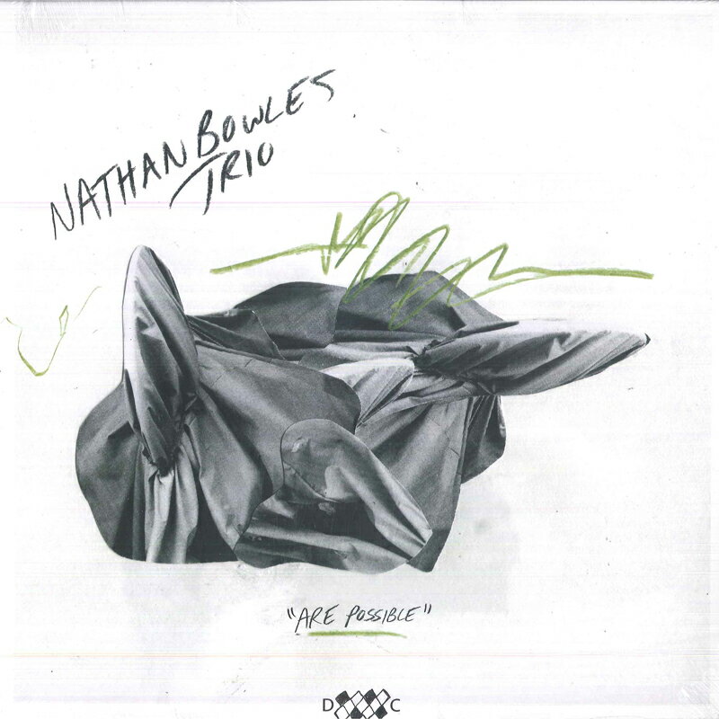 【新品】LP Nathan Bowles Trio Are Possible DC881 Drag City Records 未開封 /00260