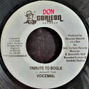 【中古】ジャマイカ7” Voicemail Tribute To Bogle NONE Don Corleon Records /00080