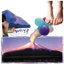 【中古】CD Why Elephant Eyelash ABR0055 Anticon /00110