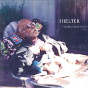 【新品】独LP Thomas Bartlett Shelter 538643221 Modern Recordings /00400