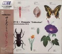 【中古】CD PSY・S Collection SRCL2057 /00110